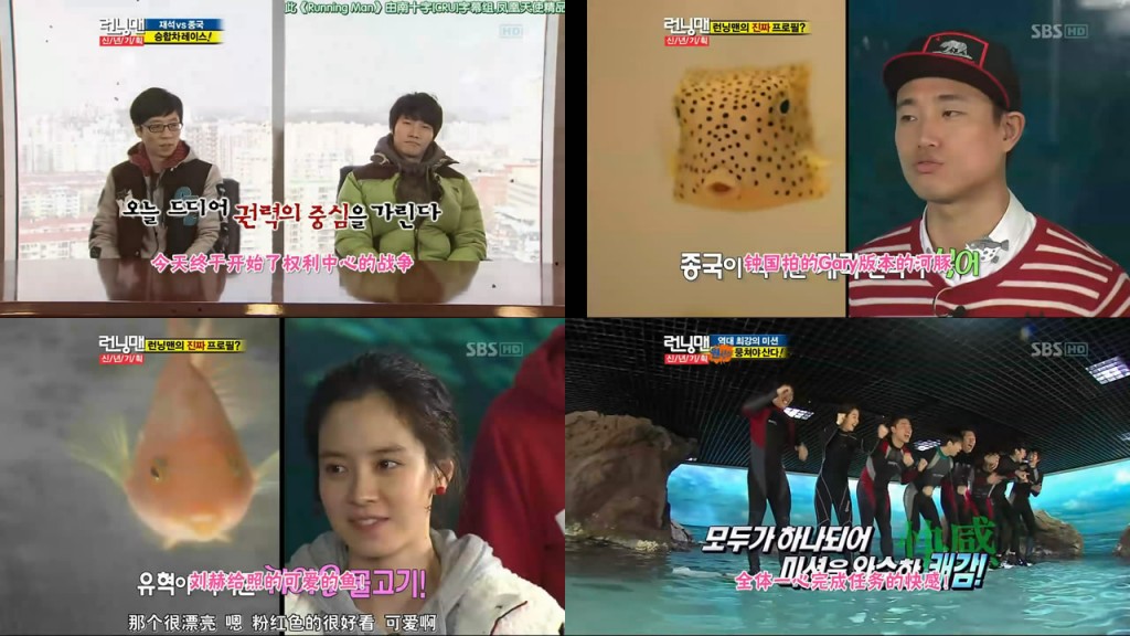 running man110206 e29期海洋馆