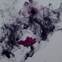 【推荐】龙俊亨自作曲《Flower》——离开的女人